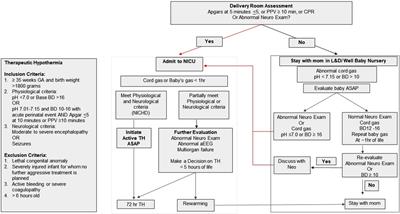 Increased newborn NICU admission for evaluation of hypoxic-ischemic encephalopathy during COVID-19 pandemic in a public hospital